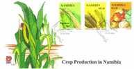 Namibia - 2005 Crop Production FDC # SG 1017-1019 , Mi 1166-1168 - Légumes