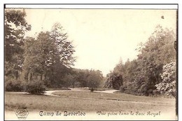 LEOPOLDSBURG -CAMP MILITAIRE DE BEVERLOO KAMP-VUE PRISE DANS LE PARC ROYAL - Leopoldsburg (Camp De Beverloo)