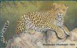 # SOUTH_AFRICA SAEGD Leopard 10 Gpt -animal,leopard- Tres Bon Etat - Südafrika