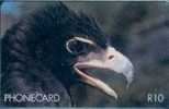 # SOUTH_AFRICA SAEGN Black Eagle 10 Gpt  -aigle,eagle,oiseaux,bird S- Tres Bon Etat - Suráfrica