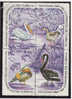 P778.-.C U B A.- 1967 .- " BIRDS / PAJAROS.- CHRISTMAS / NAVIDAD  " .- EDIFIL #: 1553-1556 .- MNH.- - Canards