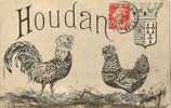 Cp 78 HOUDAN Un Beau  Couple  Coq Et Poule , Blason - Houdan