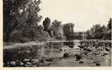 Carte Photo Noir Et Blanc    Le Pont Du Chemin De Fer A St Pourçain En Sioule( Allier) Non Circulee) - Ouvrages D'Art