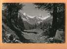 F161 Val Anniviers, Paysage à St Luc. Gabelhorn,Mt Durand,Cervin. Cachet St Luc 1949 Vers Hermance. - Anniviers