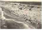 CpF1652 - VIEUX BOUCAU Les Bains - Belle Perspective Aérienne Sur La Plage - (40 - Landes) - Vieux Boucau