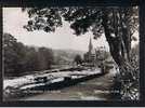 Real Photo Postcard The Promenade Llangollen Denbighshire Wales-  Ref 401 - Denbighshire