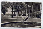 Réf 150 - ALLEMAGNE - UBERLINGEN Am Bodensee - Kurhalle (1957) - Ueberlingen