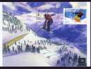 Carte-Maximum FRANCE N°Yvert 3699 (Snowboard) Obl FLAMME Ill Bernex 18.6.05   RRR - 2000-2009