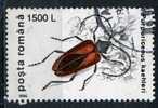 PIA - ROMANIA - 1996 : Insetto - (Mi 5169) - Used Stamps