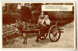 10492 - Donkey Cart ( Going To Market) - Andere & Zonder Classificatie