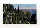 - MONACO . LES JARDINS EXOTIQUES . VUE SUR LE ROCHER - Exotic Garden