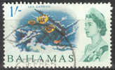 Bahamas 1965 SG 256 1/- Queen Elizabeth II & Sea Garden Perf. ERROR Top Left Corner !! - 1859-1963 Kolonie Van De Kroon