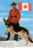 Gendarmerie Royale Du Canada - Royal Canadian Mounted Police - Chien Dog - Non Circulée - Policia – Gendarmería