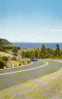 Parc Fundy Park - Road Scene - Nouveau-Brunswick - Voitures Cars - 1950s - Non Circulée - Andere & Zonder Classificatie