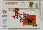 Bronze Horse,horse New Year Stamp,China 2002 Sanming Post New Year Greeting Advertising Pre-stamped Card - Nouvel An Chinois