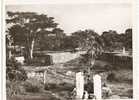 Sénégal.Photo Réelle.Voyage De 1946. Cimetière De Brousse à Identifier. - Senegal