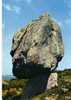 CPSM. ENVIRONS DE ROCHEFORT MONTAGNE. LA ROCHE BRANLANTE. - Dolmen & Menhirs