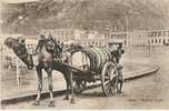 Cpf1588 -  ADEN - Water Cart - Harnessing Drawn By A Dromedary - (Turkish Shop - Benghiat Son) - Jemen