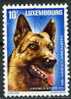 PIA - LUSSEMBURGO - 1983 :  Campionato Europeo Per Cani Pastori - (Yv  1034) - Used Stamps