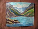 - LAC DE MONTAGNE . HUILE SUR CONTREPLAQUE SIGNEE - Olii