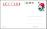 PP 13 CHINA  1999 Peonies P-CARD - Cartes Postales