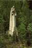 74 LES HOUCHES MONT BLANC La Statue Du Christ Roi Erigee Sur Le Versant De Coupeau Domine Le Village De Chamonix - Les Houches