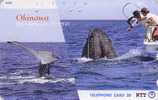 Télécarte Japon / NTT 391-263 - BALEINE - WHALE Japan Phonecard - WAL - BALLENA - 82 - Delfines