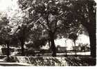 CPSM. SUMENE. MONUMENT AUX MORTS. DENTELLEE. - Sumène