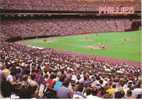 Philadelphia Phillies Veterans Stadium Baseball Game Action, Phillies Vs. Houston Astros C1980s Vintage Postcard - Honkbal