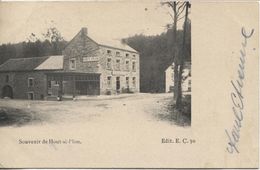 2960/ CP  Souvenir De Hout-si-Plou - Neupré