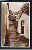 Real Photo Postcard North Hill Cottages Clovelly Devon - Ref 412 - Clovelly