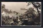 Judges Postcard Paddlesteamer Boat From Hobby Drive Clovelly Devon - Ref 412 - Clovelly