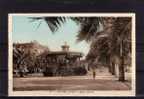 ALGERIE Sidi Bel Abbes Place Carnot, Kiosque à Musique, Colorisée, Ed Cigogne 517, 193? - Sidi-bel-Abbès