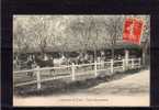 ALGERIE Tiaret Jumenterie, Sortie Des Juments, Bien Animée, Haras, Ed ?, 1909 - Tiaret