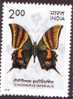 Buterfly, Pappilion, Vender, India - Ungebraucht