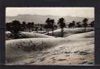 ALGERIE Colomb Béchar Dunes De Sable, Djebel Béchar, Ed Argence 13, CPSM 9x14, 1957 - Bechar (Colomb Béchar)