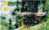 Birds  Rare Animal,  Pheasant   ,  Pre-stamped Card , Postal Stationery - Hoendervogels & Fazanten