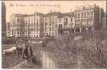 BELGIQUE:WENDUYNE(Fl.Occi   D.):Villas  Sur Le Boulevard Léopold.1910.Vache Et Cochon. - Wenduine