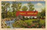 Norwalk Ohio OH - Trout Hatchery - Écloserie Truites - Moulin Eau - 1940-50s - Neuve Unused - Other & Unclassified