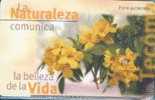 # ARGENTINA_TELEFONICA E4 Tecoma 20 Gem 10.97 -fleurs,flowers- Tres Bon Etat - Argentina