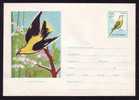 Birds Ornithology Vögel Oiseaux  Stationery Cover 1961 RRR Rare Romania. - Sparrows