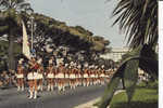 Nice Majorettes - Markets, Festivals