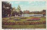 Z1072 United States Minnesota Minneapolis Loring Park Floral Uncirculated - Autres & Non Classés