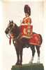 MILITARIA. UNIFORME . THE ROYAL SCOTS GREYS . 2nd DRAGOONS DRUM HORSE 1905 - Uniformen