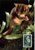 Australia 2009   Animal  Opossum  Earth Hour  (Maximum Card) - Cartes-Maximum (CM)
