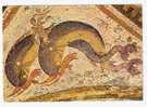 DELOS  (Grèce)  Mosaic / Mosaïque  De La Maison Des Dauphins / Dolphins   ; Années 70 ; TB - Ancient World