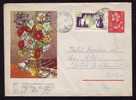 Racovita Polar Explorer Stamp On Registred Cover  Sent To Cluj.(T) - Cartas & Documentos