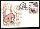 BEARS OURS, HUNTING, Stamp On Cover Obliteration Concordante 1993 Suceava - Romania.(C) - Osos