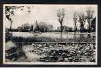 1950's Postcard Sailing Boats The Mere Thorpeness Leiston Suffolk - Ref 414 - Sonstige & Ohne Zuordnung