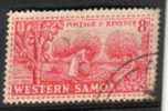 SAMOA 8 P RED  WOMAN  LANDSCAPE  1952 CTO SG225  SPECIAL PRICE !! READ DESCRIPTION !! - Samoa